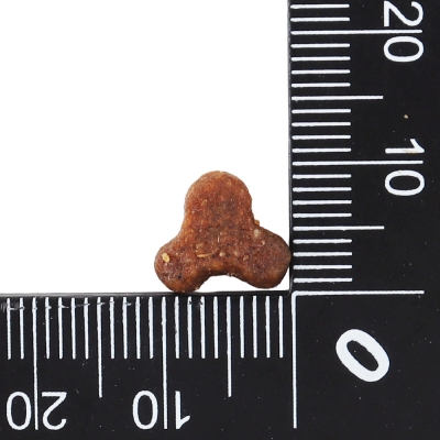 닥터클라우더 하이 프리미엄 캣 키튼 400g