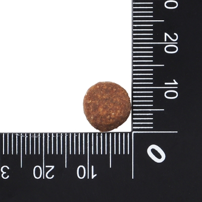 닥터클라우더 하이 프리미엄 캣 그레인프리 4kg