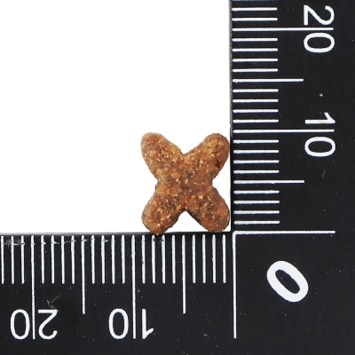 닥터클라우더 하이 프리미엄 캣 시니어 라이트 400g