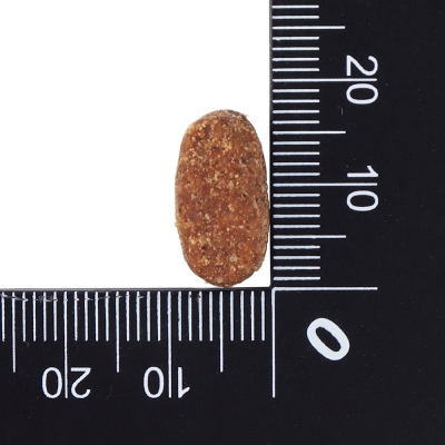 닥터클라우더 인테스티널 IRD 저지방 4kg