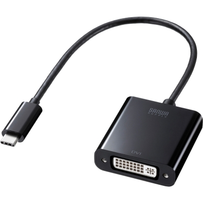 강원전자 산와서플라이 USB Type C to DVI 컨버터 AD-ALCDV