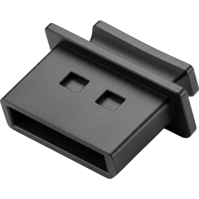 강원전자 넷메이트 DisplayPort 포트 보호 먼지 마개, 블랙 10개 NM-DCDBK